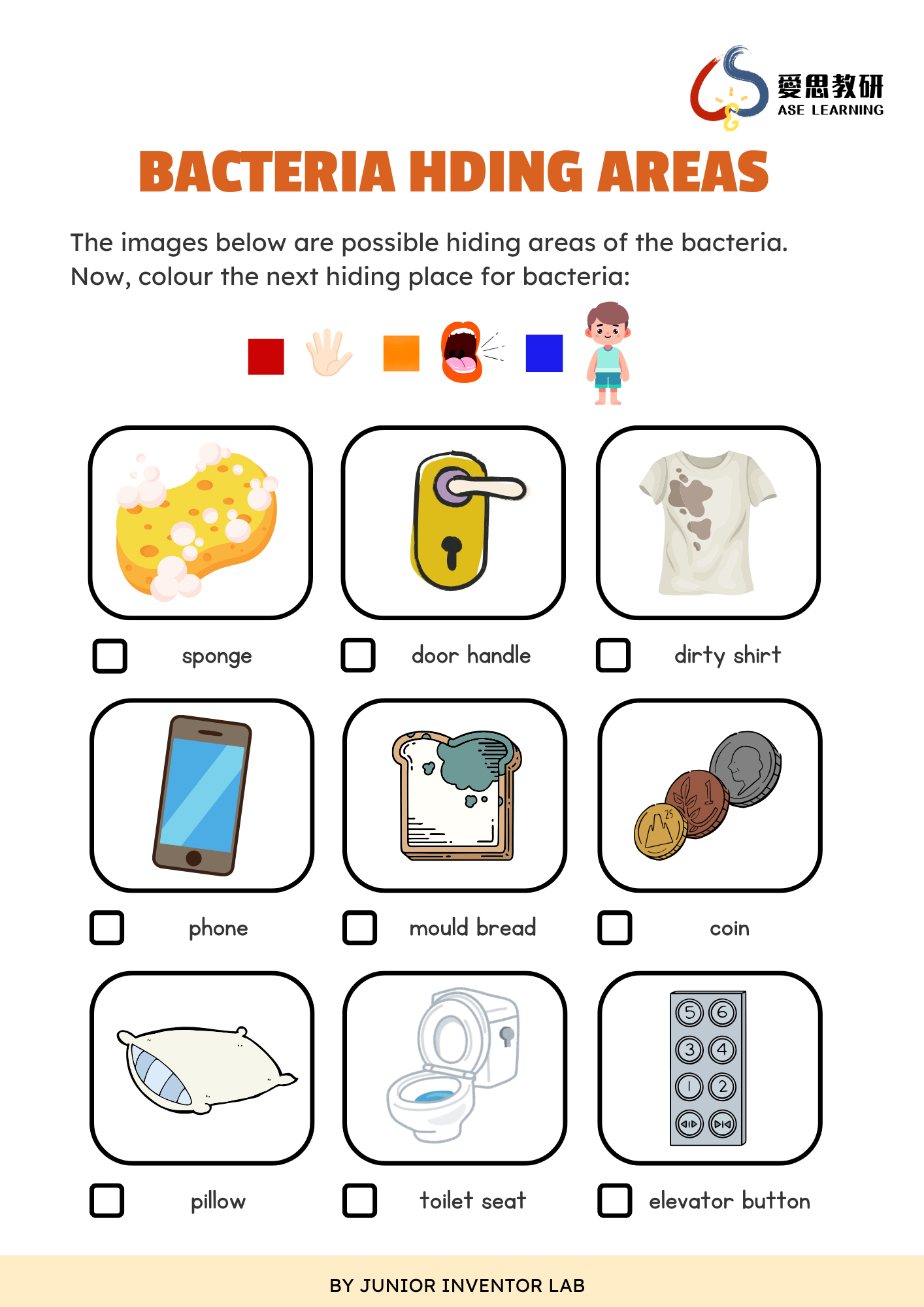 实验工作表 - 细菌探索