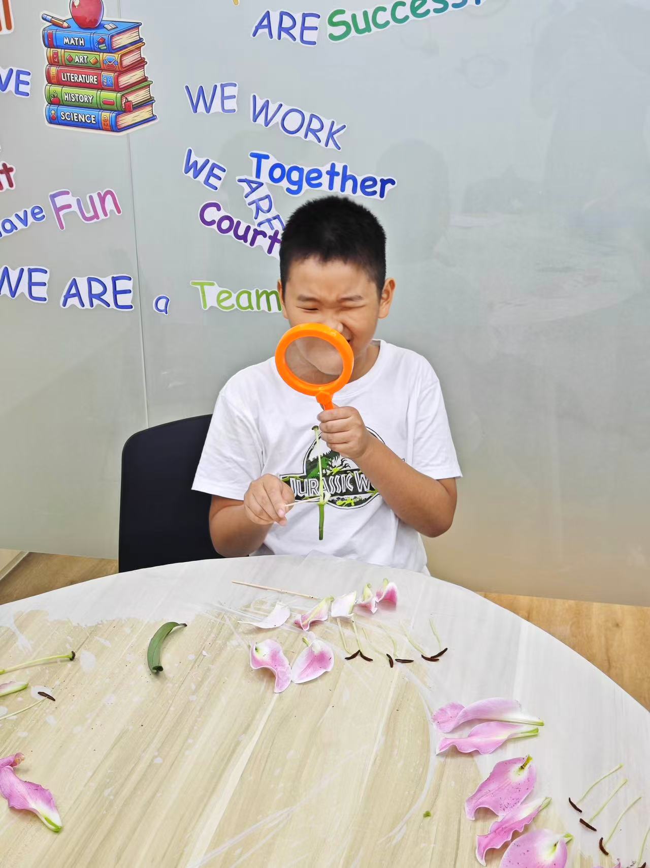 课堂实况 - 观察探索